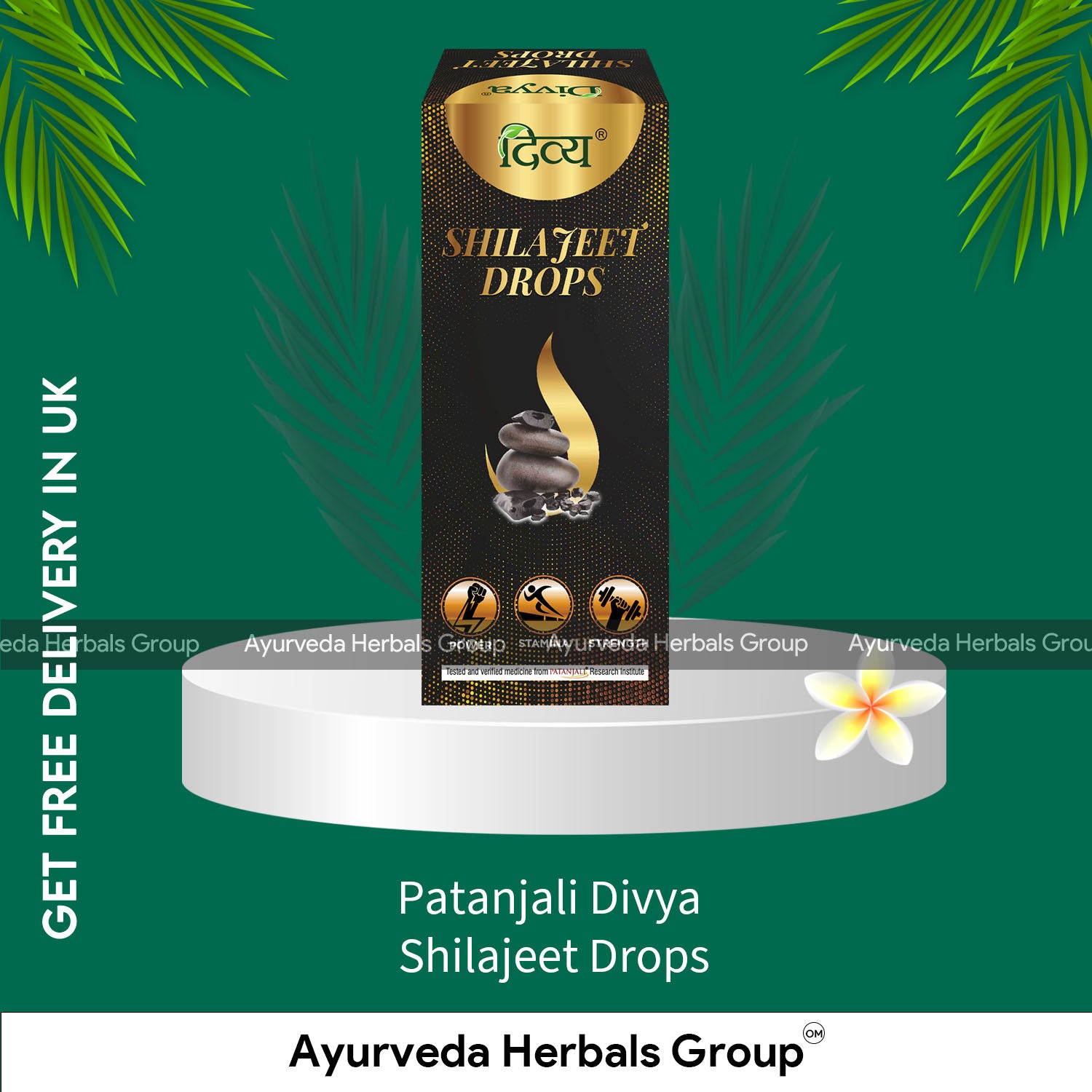 Patanjali Divya Shilajeet Drops