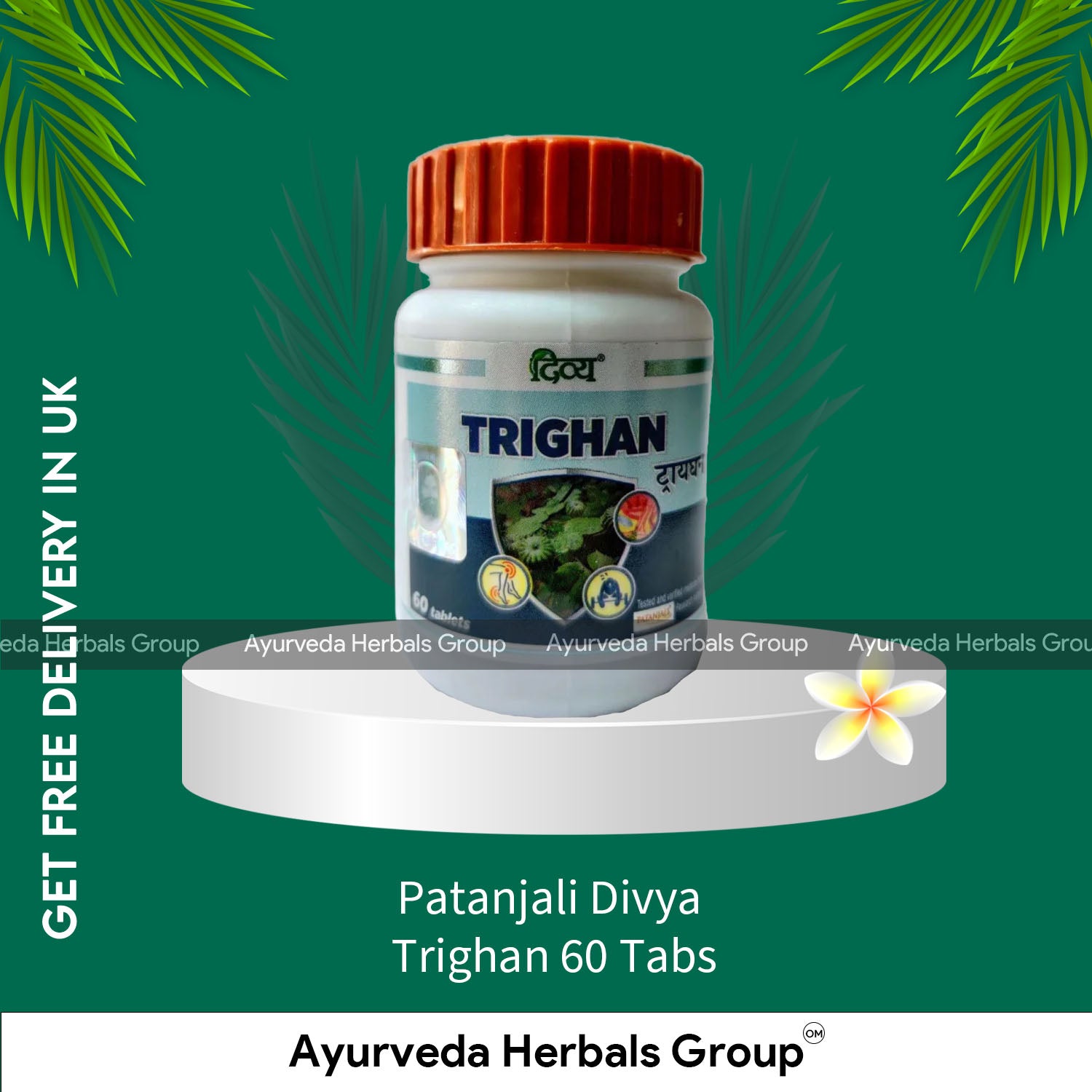 Patanjali Divya Trighan 60 Tabs