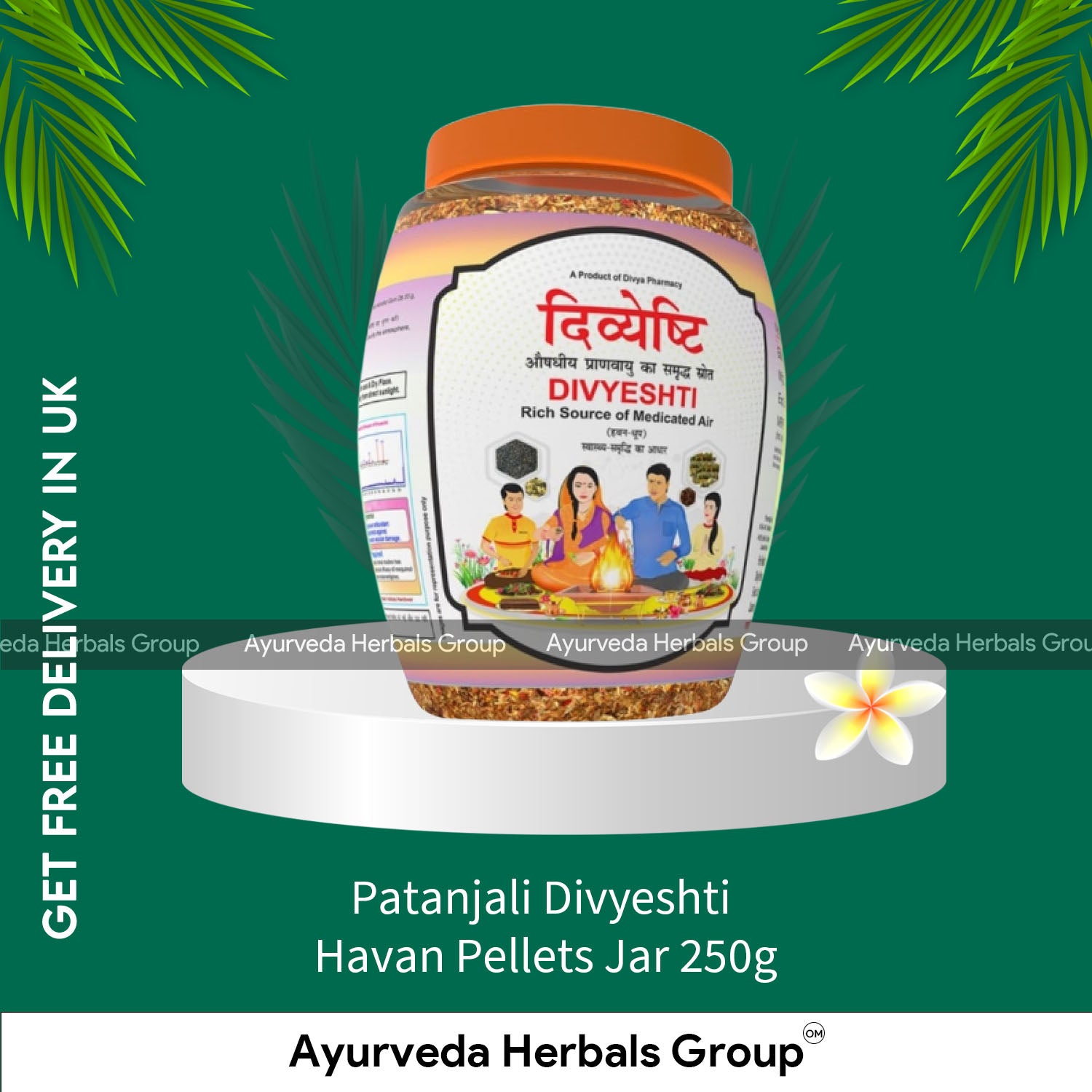Patanjali Divyeshti Havan Pellets Jar 250g