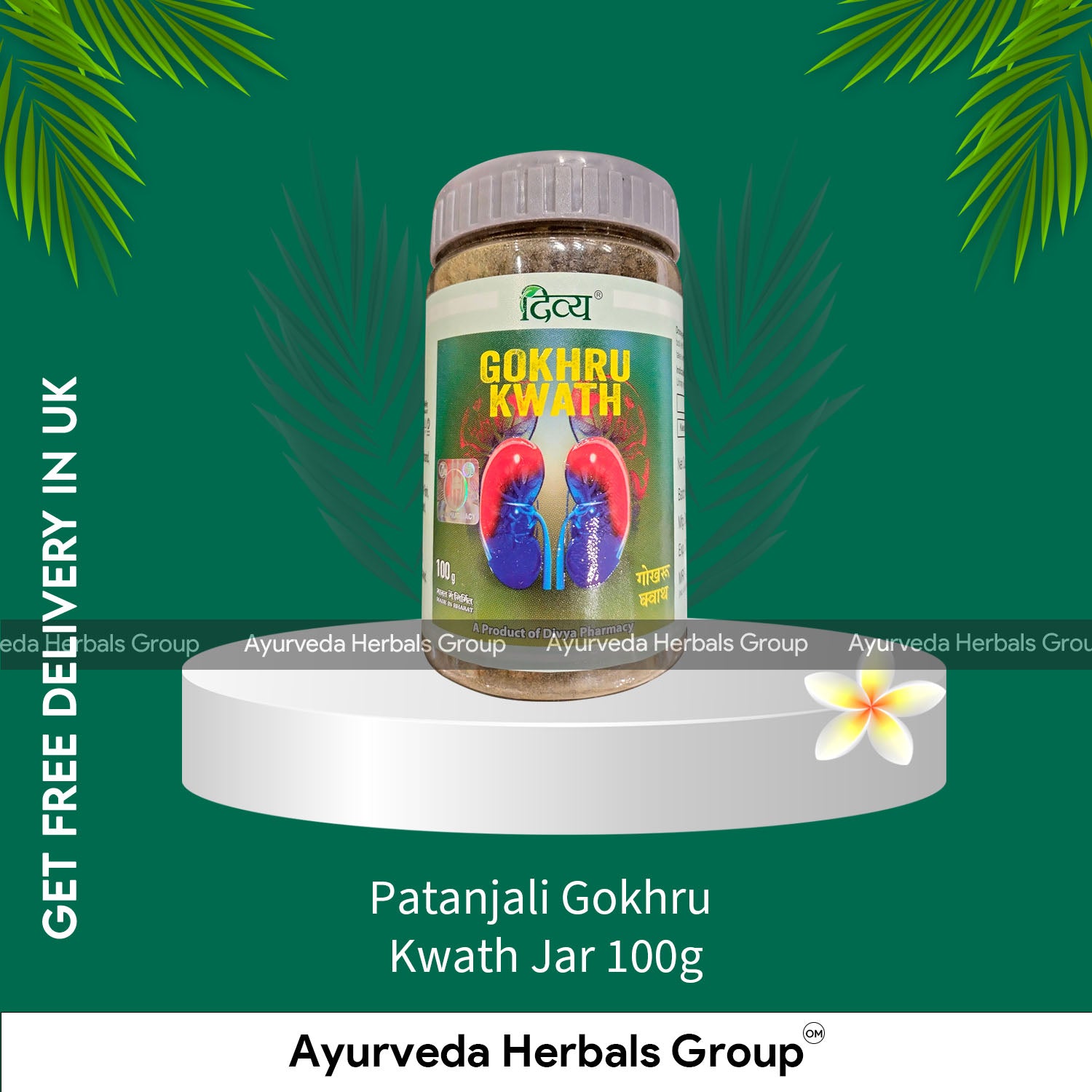 Patanjali Gokhru Kwath Jar 100g