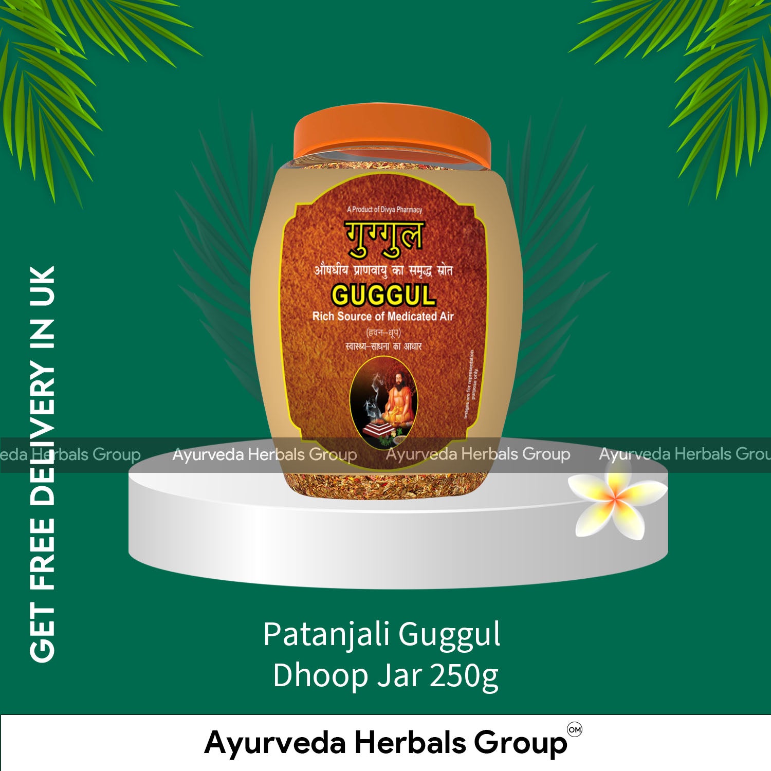 Patanjali Guggul Dhoop Jar 250g