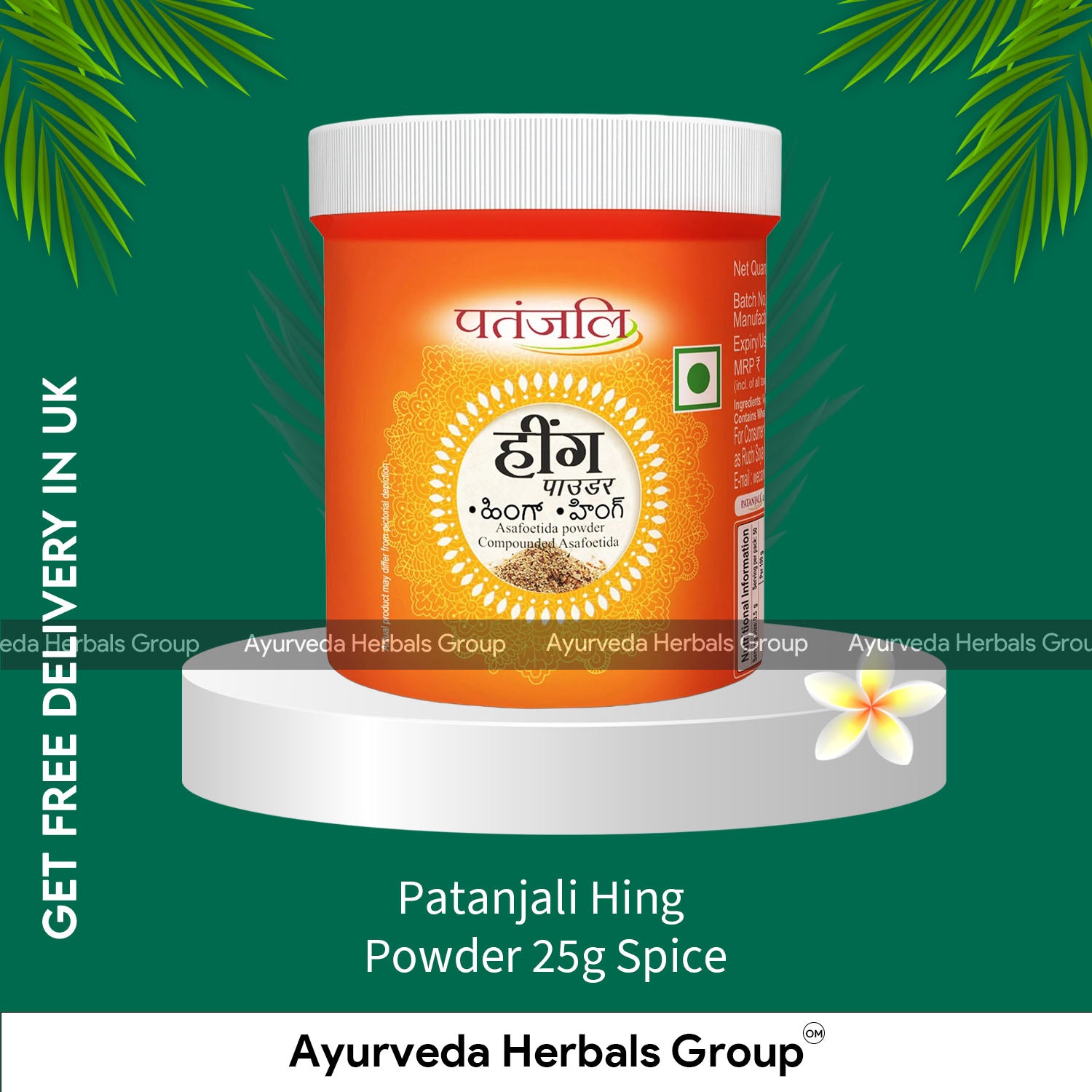 Patanjali Hing Powder 25g Spice