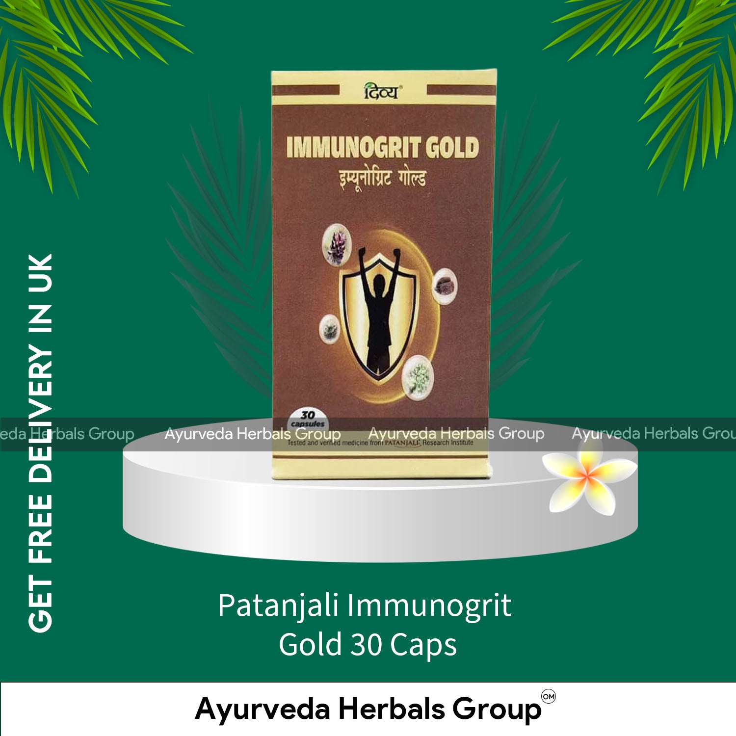 Patanjali Immunogrit Gold 30 Caps