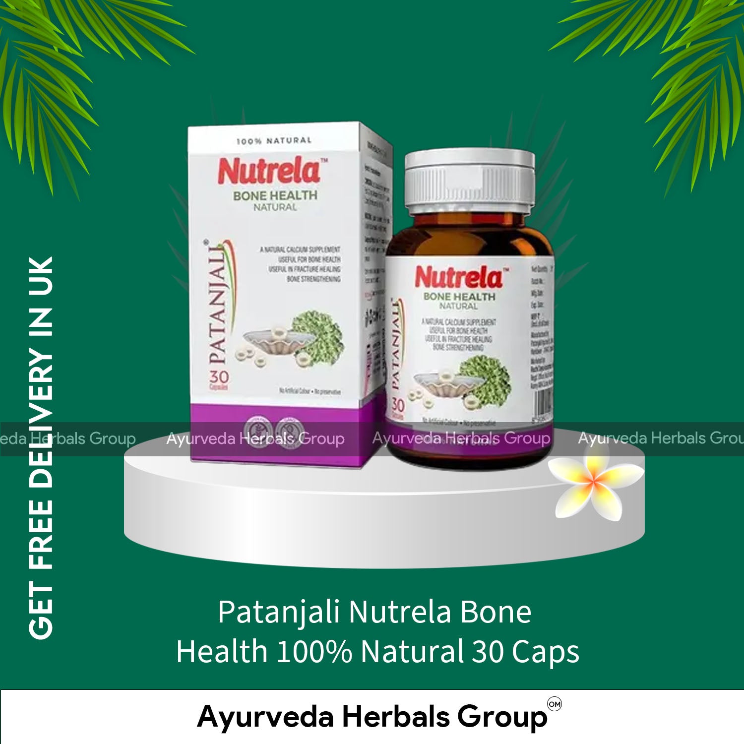 Patanjali Nutrela Bone Health 100% Natural 30 Caps
