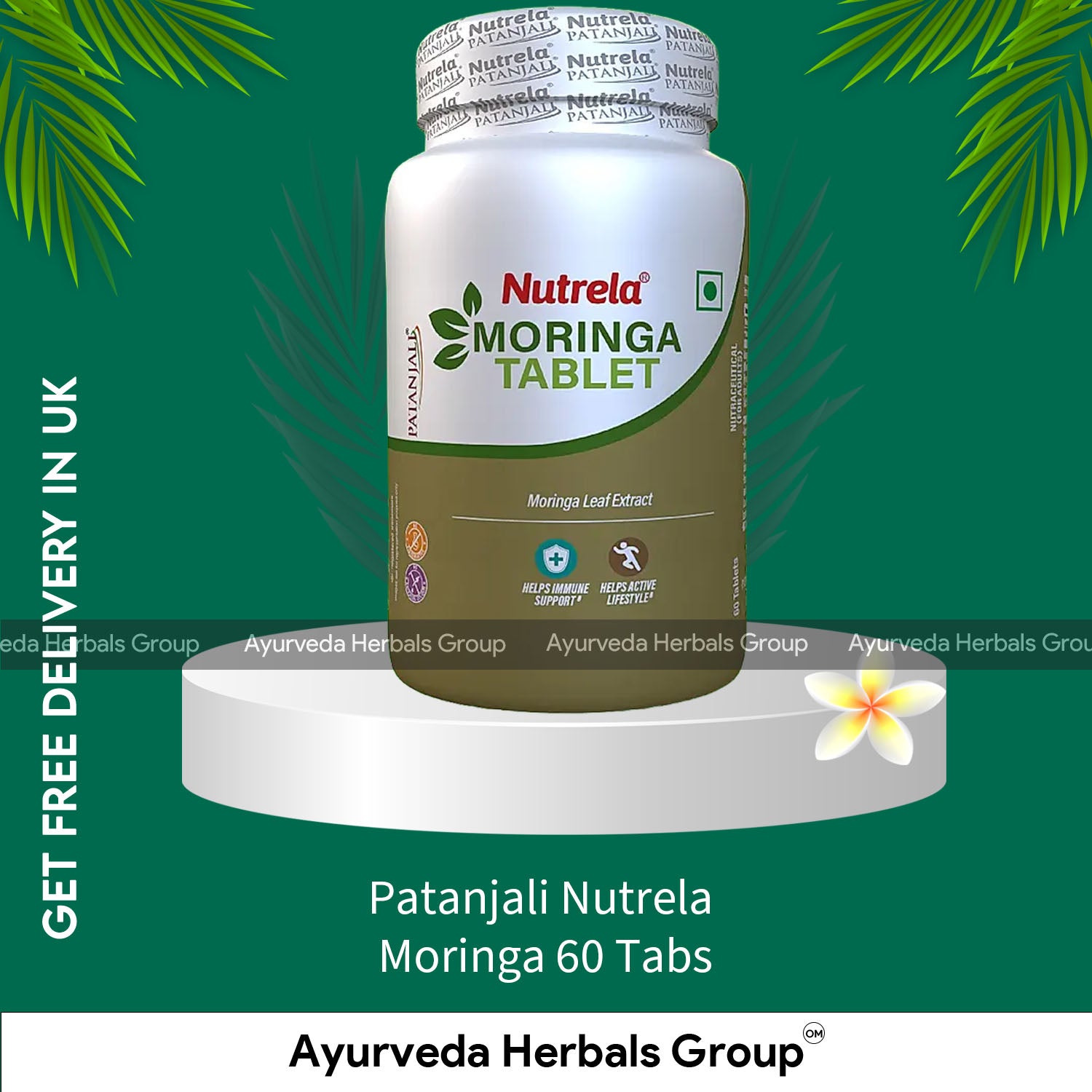 Patanjali Nutrela Moringa 60 Tabs