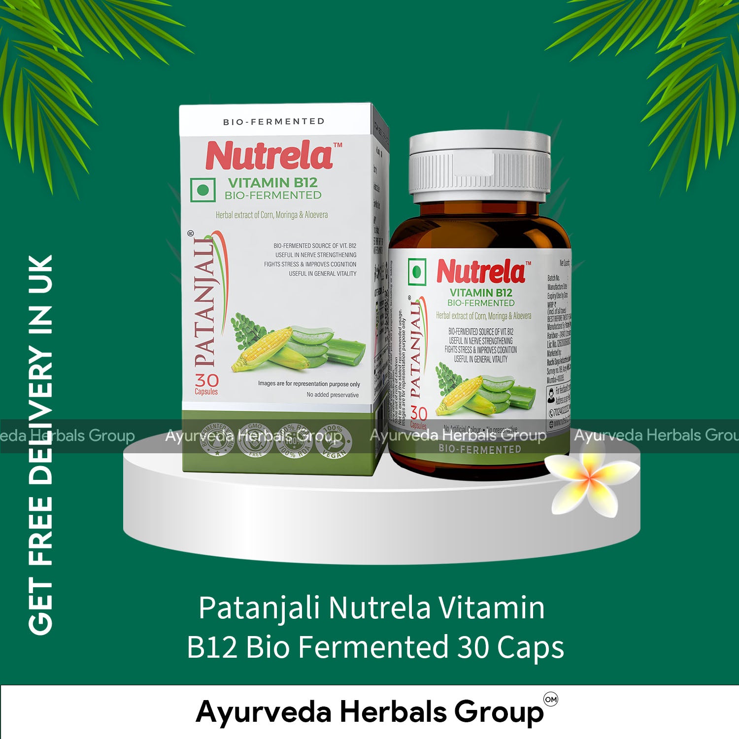 Patanjali Nutrela Vitamin B12 Bio Fermented 30 Caps