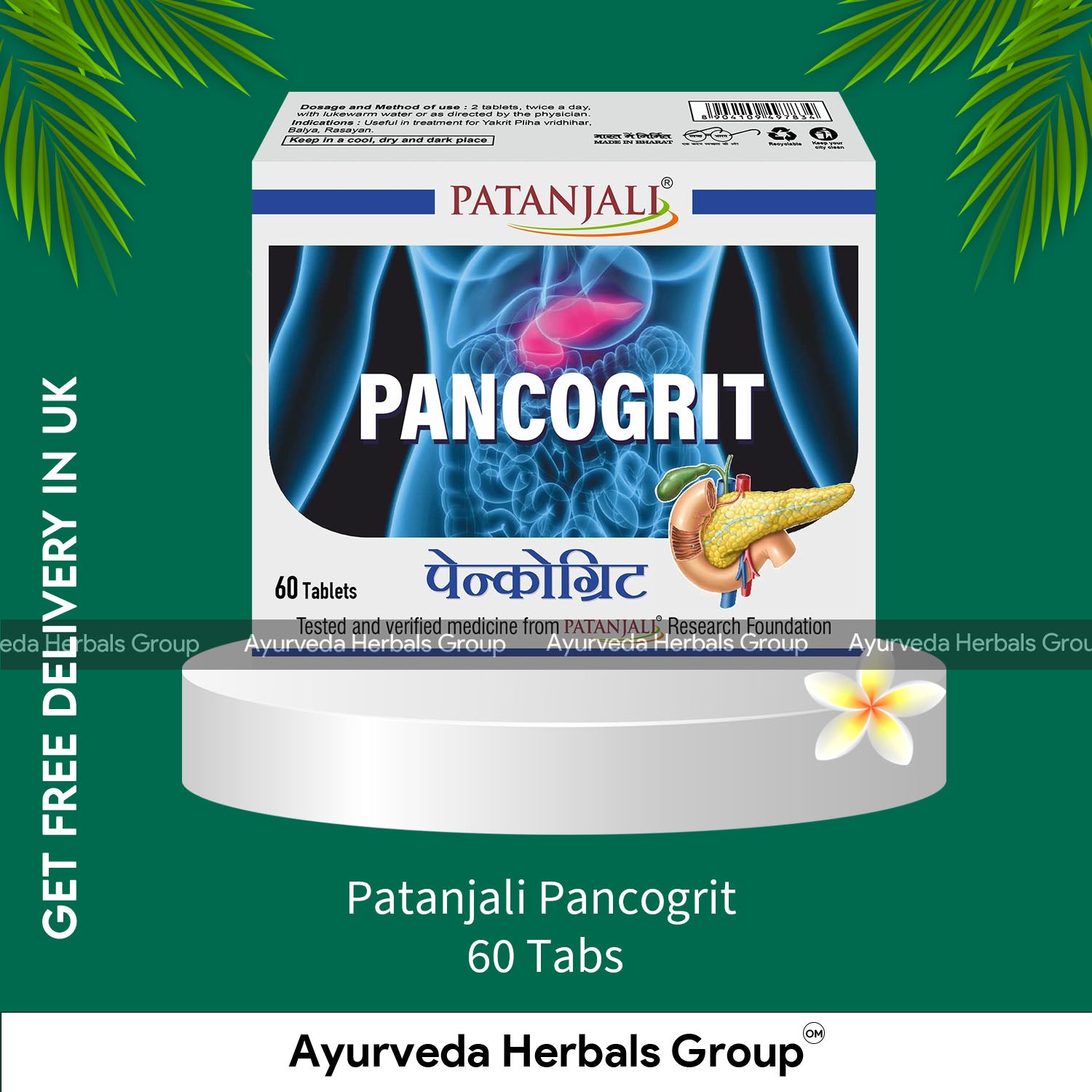 Patanjali Pancogrit 60 Tabs