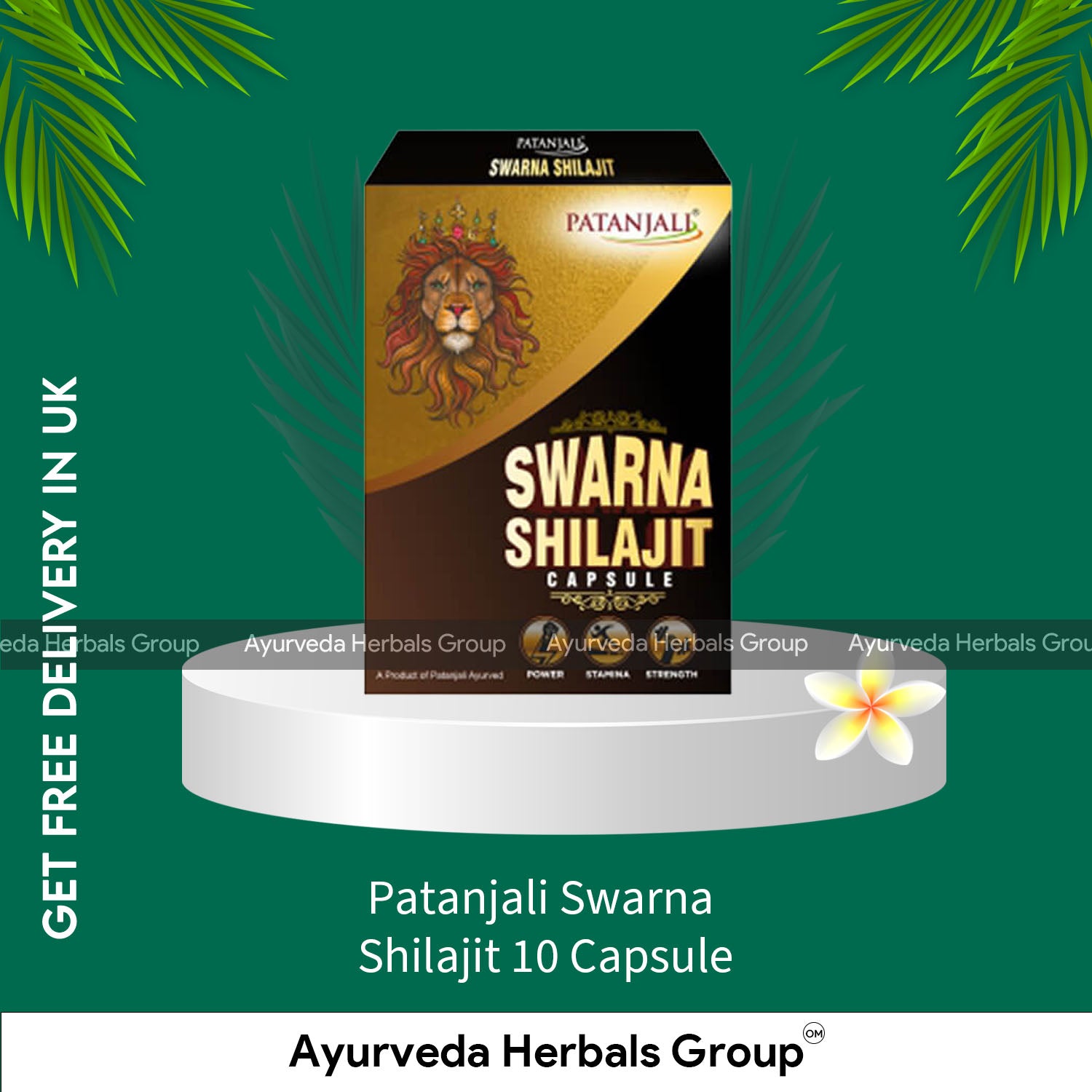 Patanjali Swarna Shilajit 10 Capsule