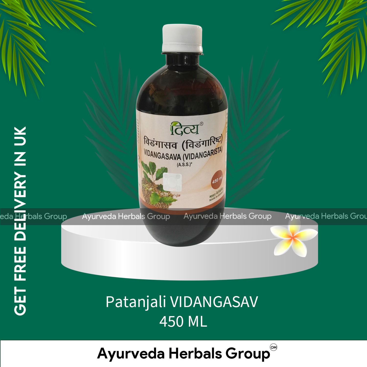 Patanjali VIDANGASAV 450 ML