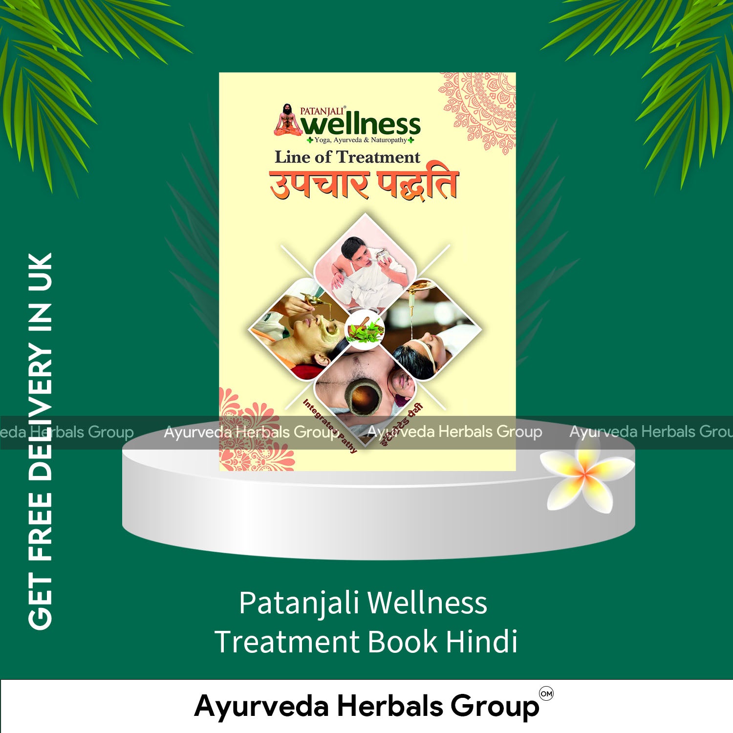 Patanjali Wellness Treatment Book Hindi