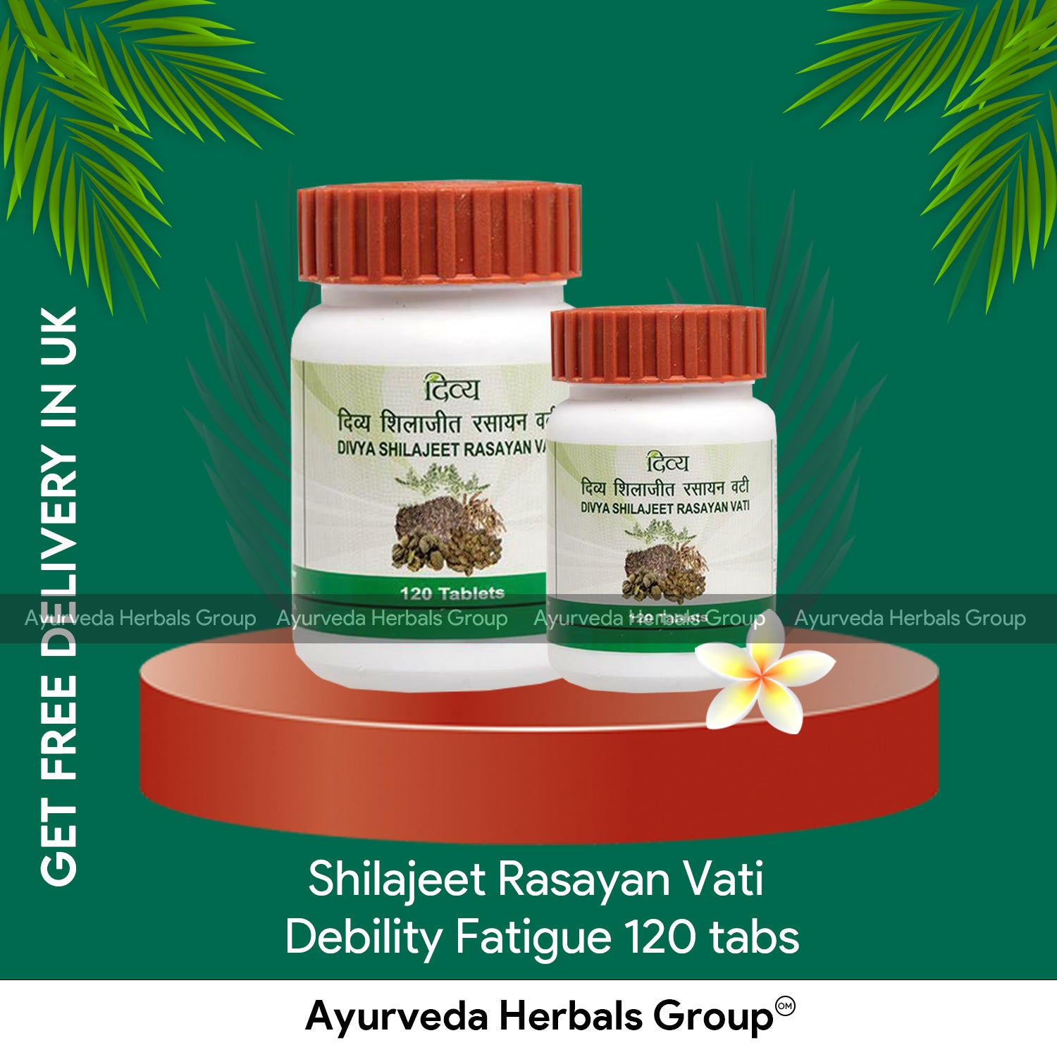 Patanjali Shilajeet Rasayan 120 tabs