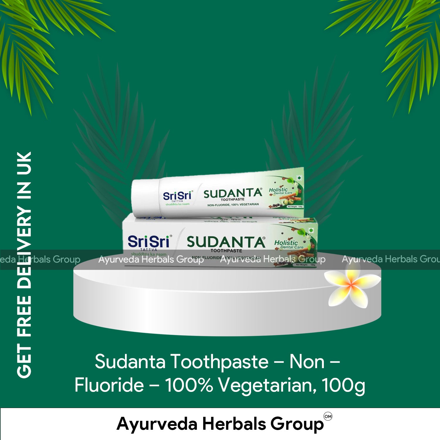 Sudanta Non Fluoride Toothpaste 100g