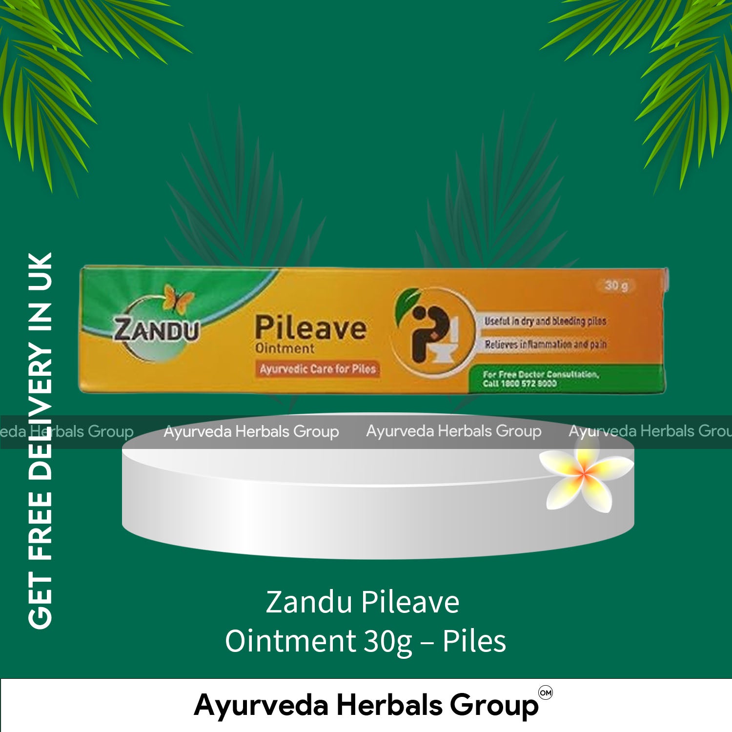Zandu Pileave Ointment 30g - Piles