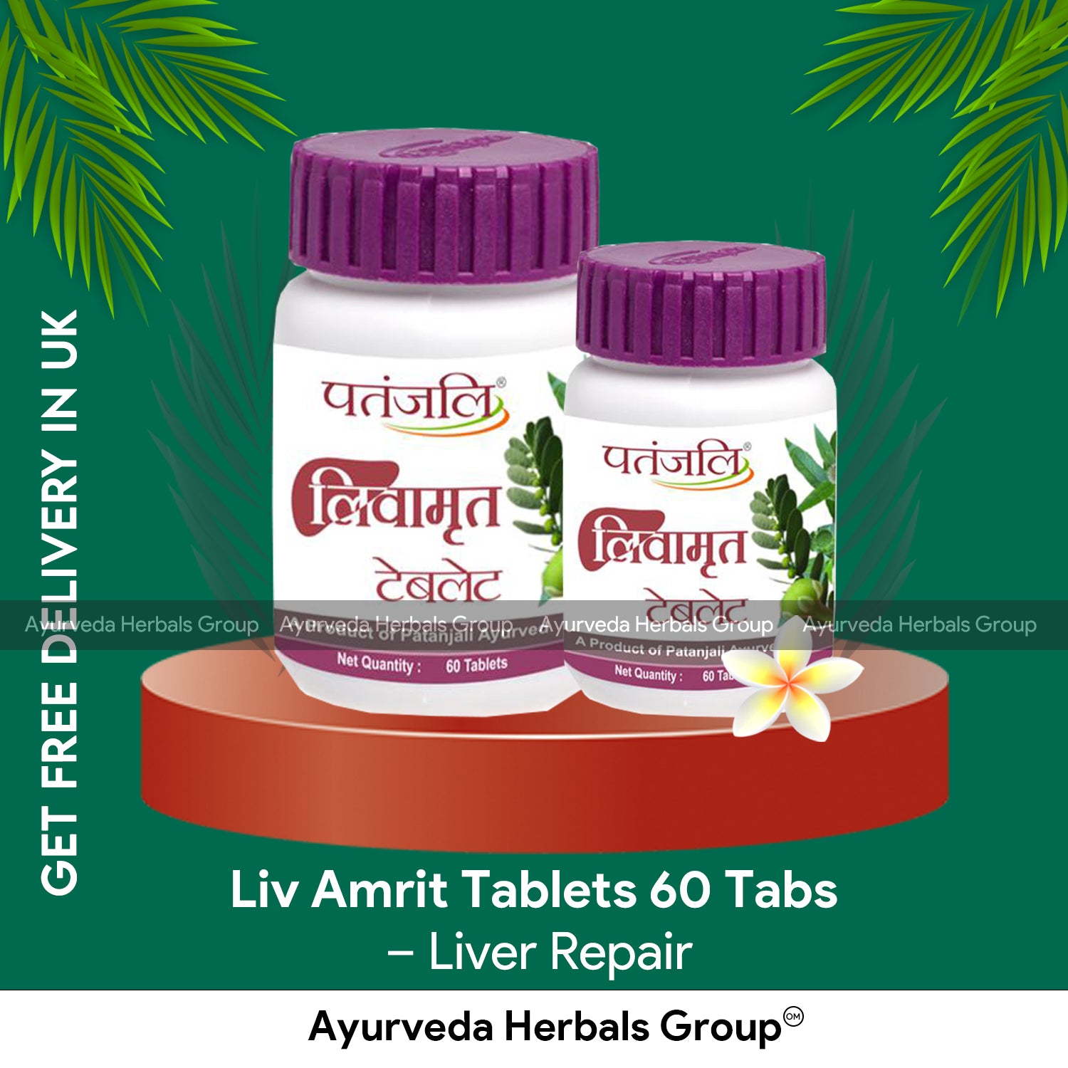 Patanjali Liv Amrit Tablets 60 Tabs
