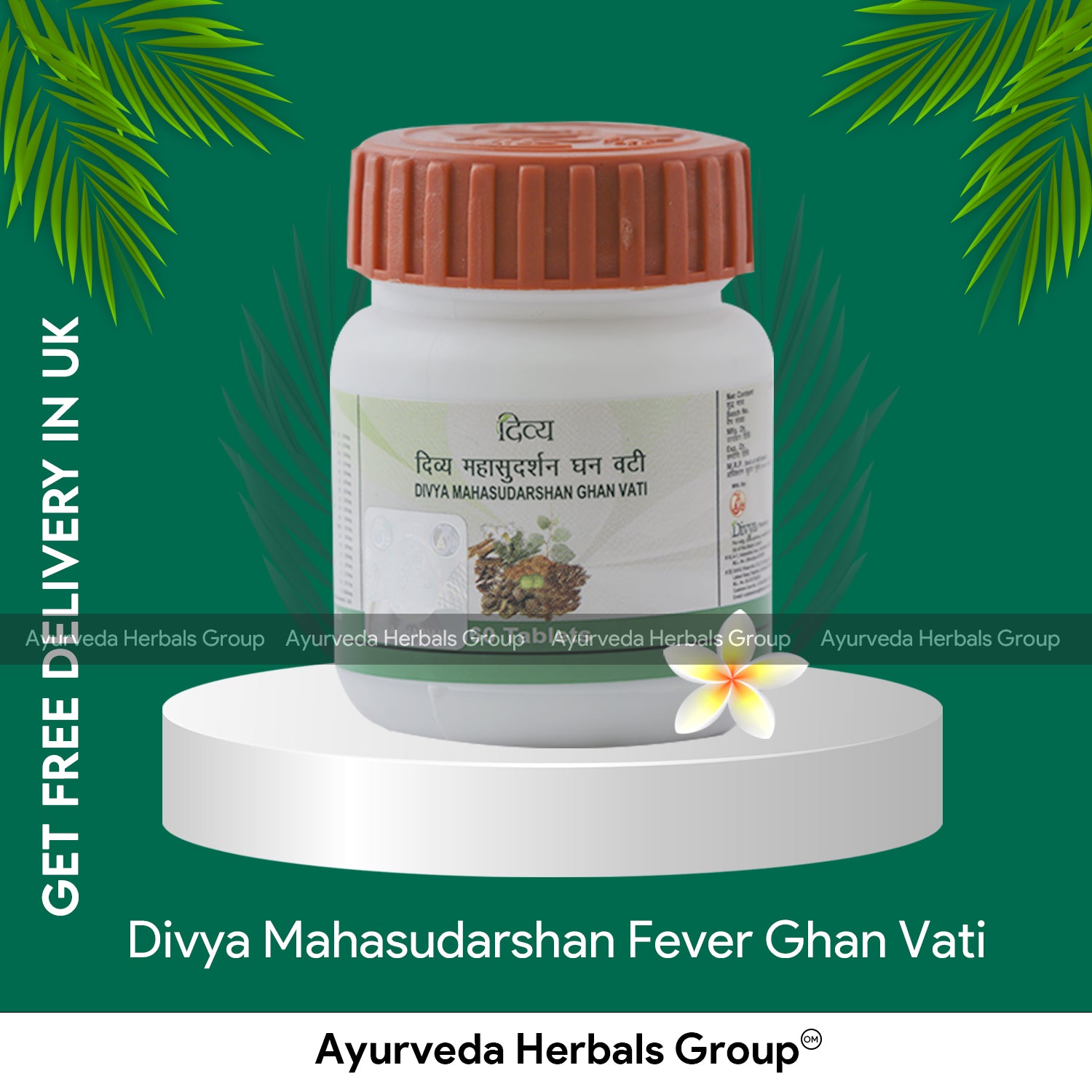 Patanjali Mahasudarshan Ghan Vati 60