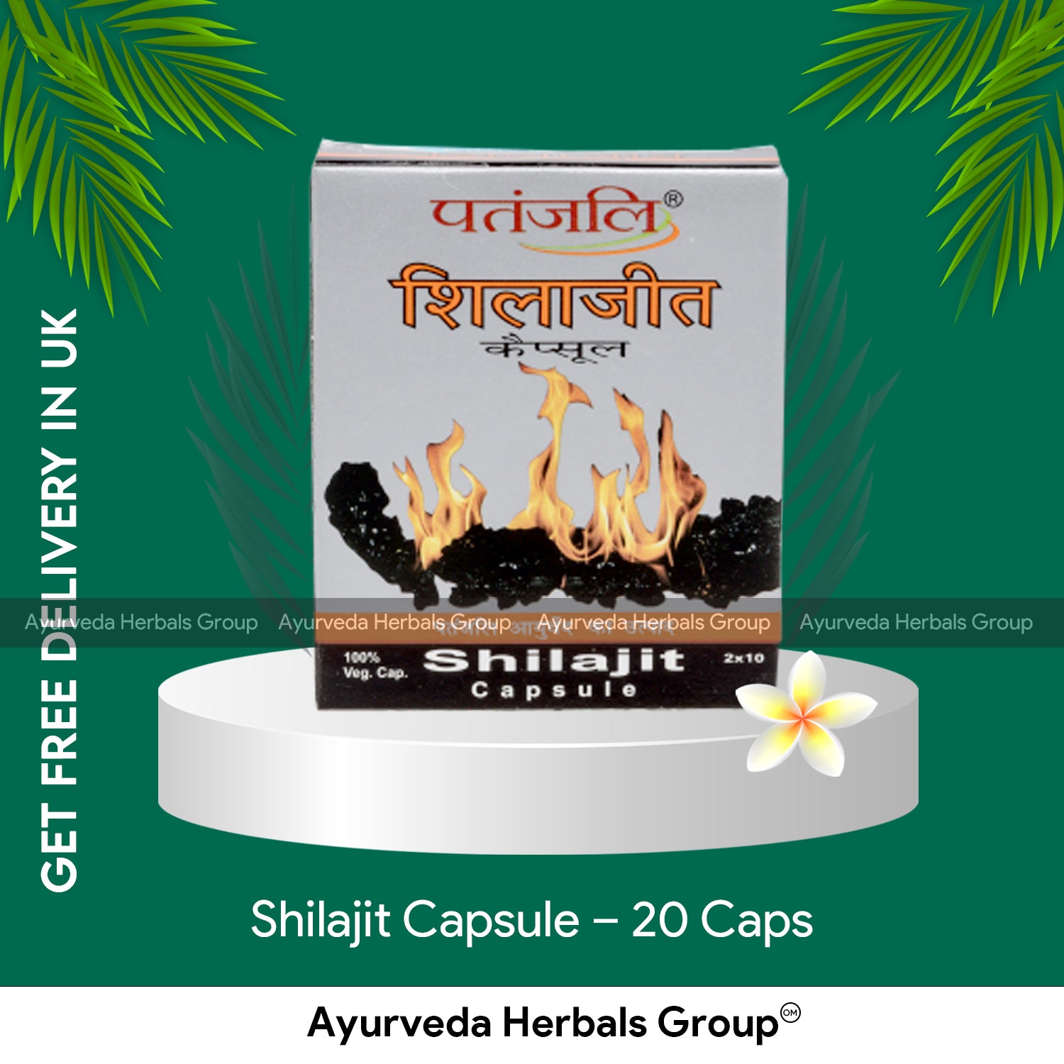 Patanjali Shilajit Capsule - 20 Caps