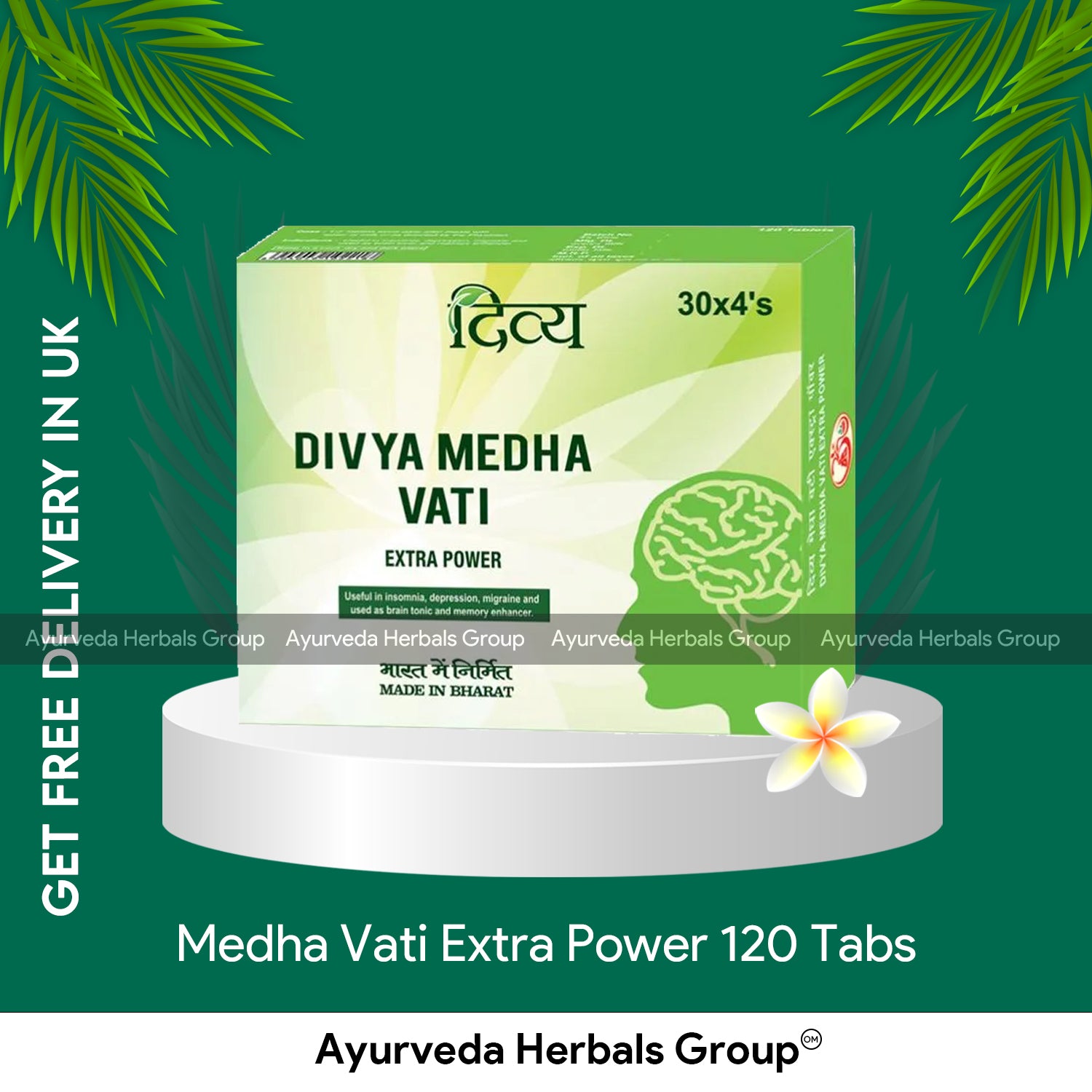 2 x Medha Vati Extra Power Migrane Brain Tonic 120 tab