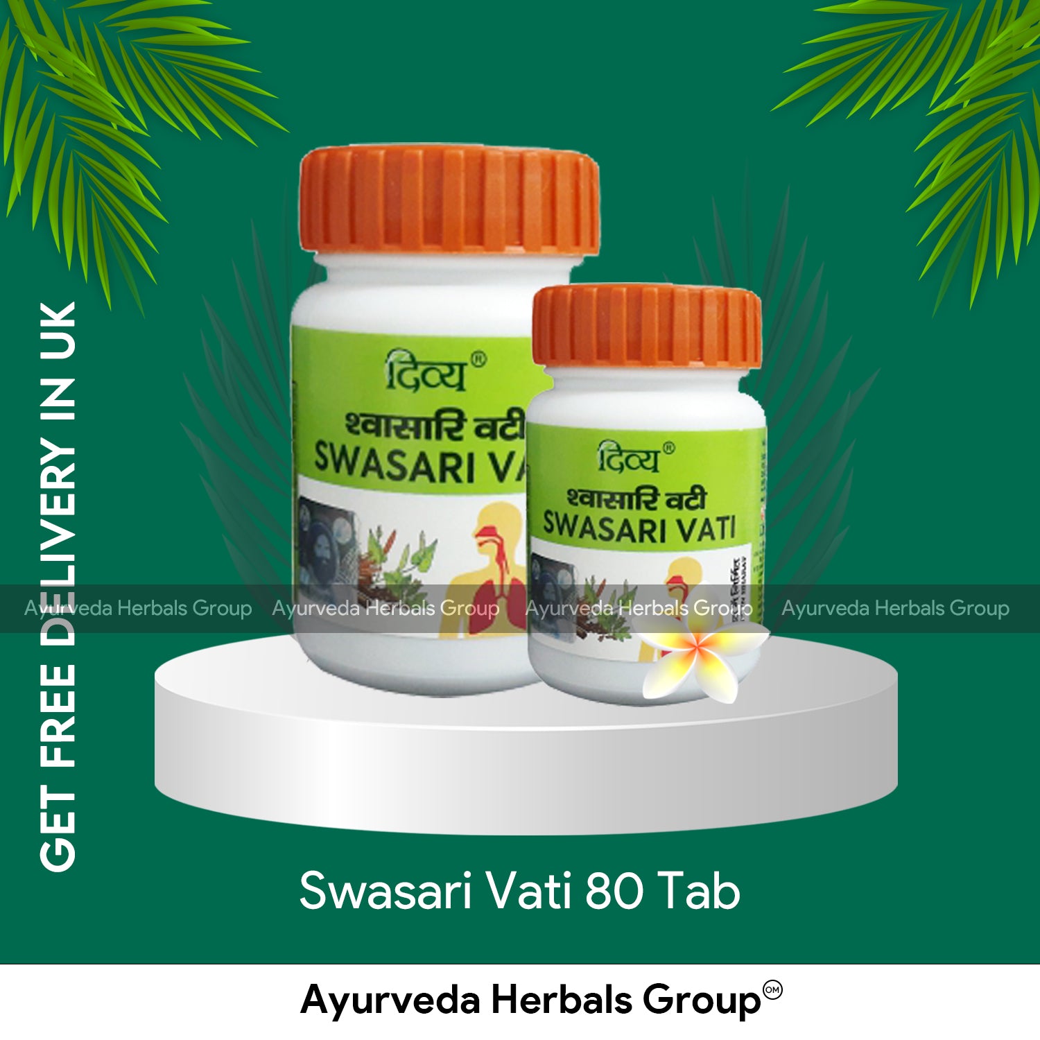 Patanjali Swasari Vati 80 Tab