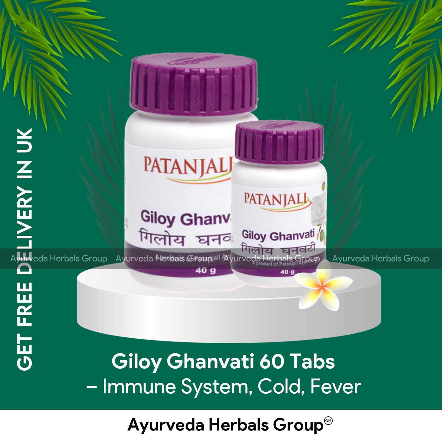 Patanjali Giloy Ghanvati 60 Tabs