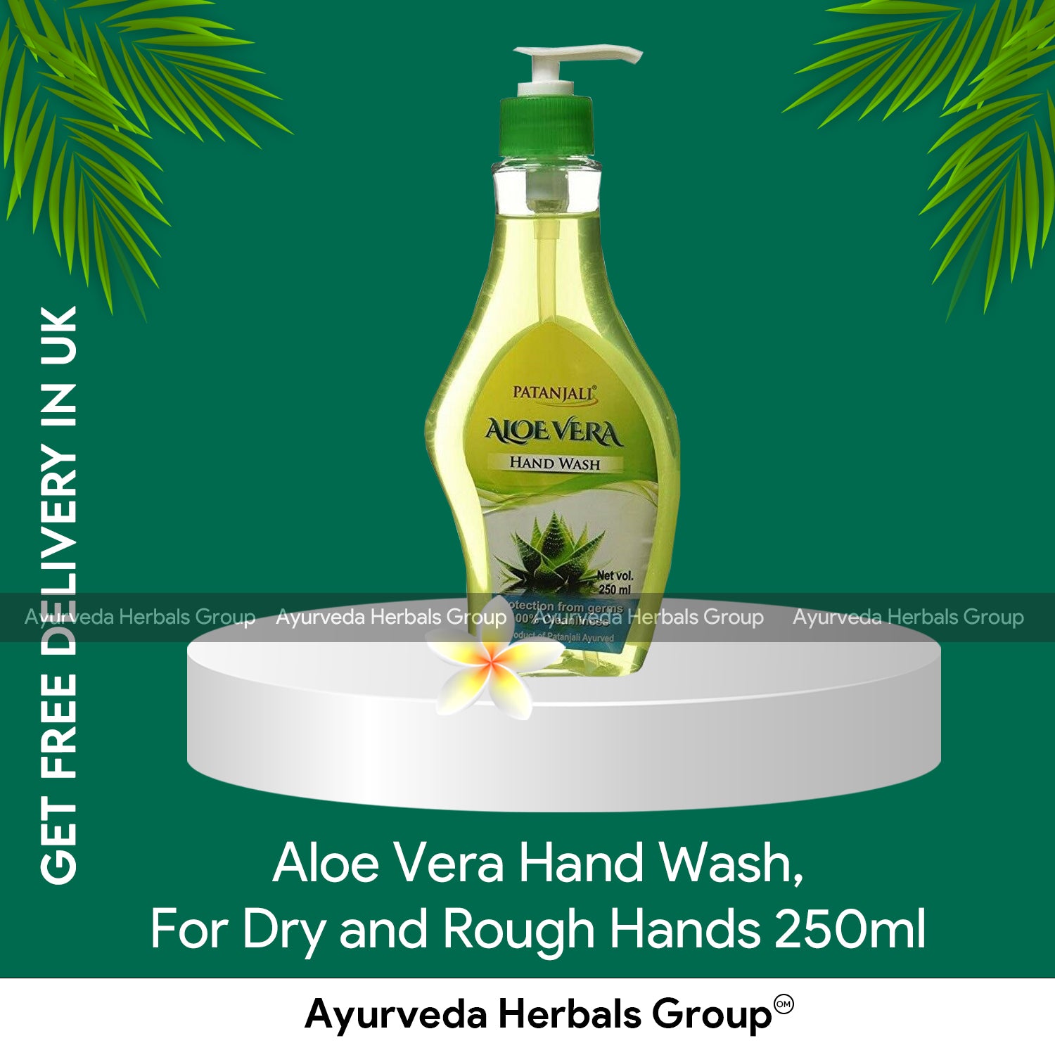 Patanjali Aloe Vera Hand Wash 250ml