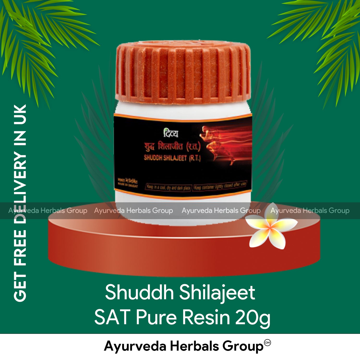 Shuddh Shilajeet SAT Pure Resin 20g