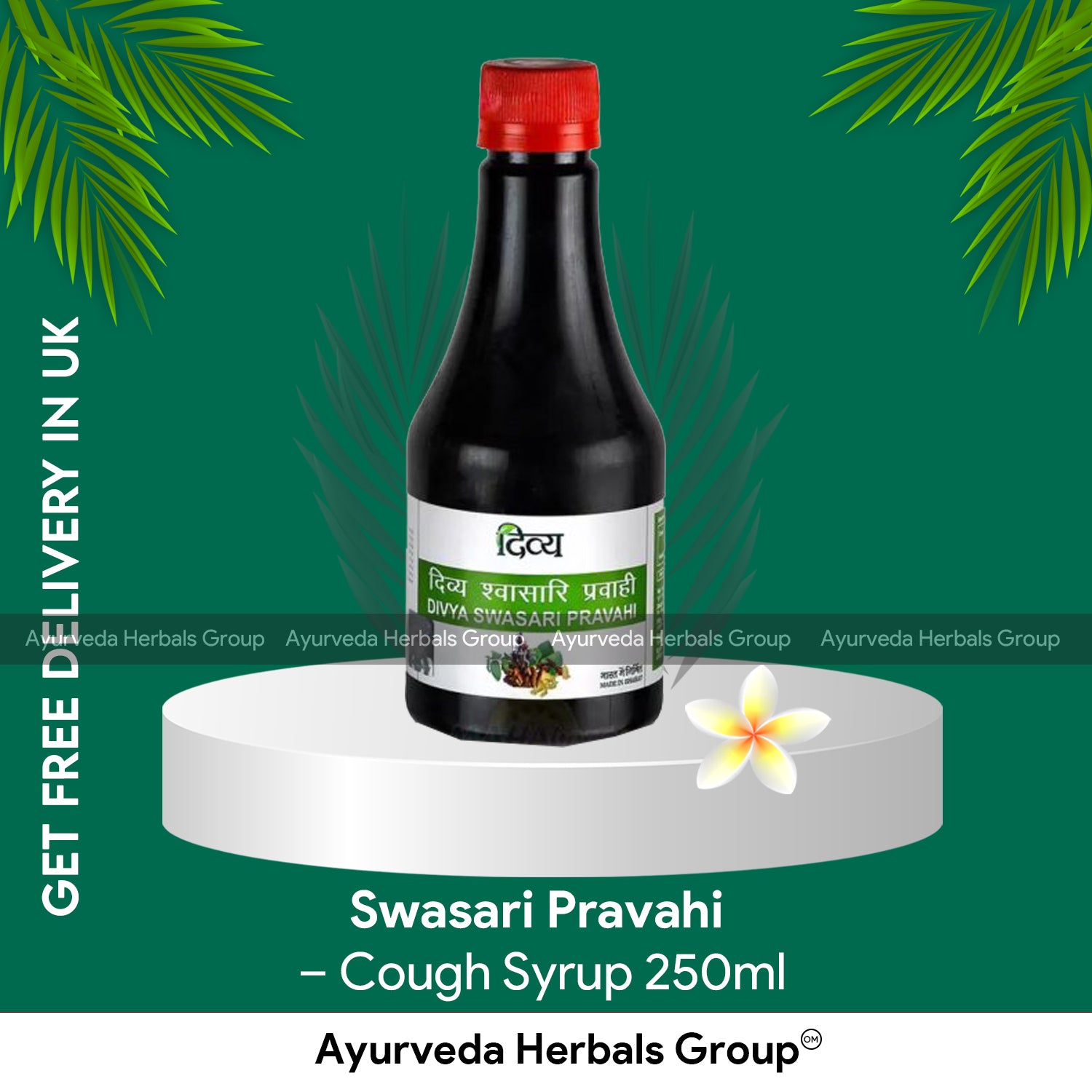 Patanjali Swasari Pravahi Syrup 250ml