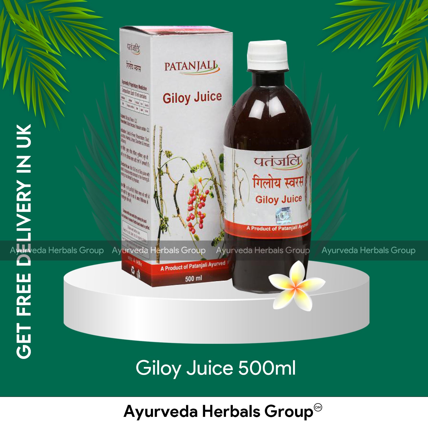 Patanjali Giloy Juice 500ml