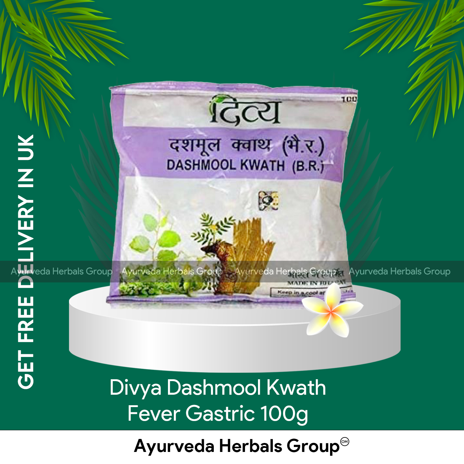 Swami Ramdev Patanjali UK Divya Dashmool Kwath Fever Gastric 100g |
