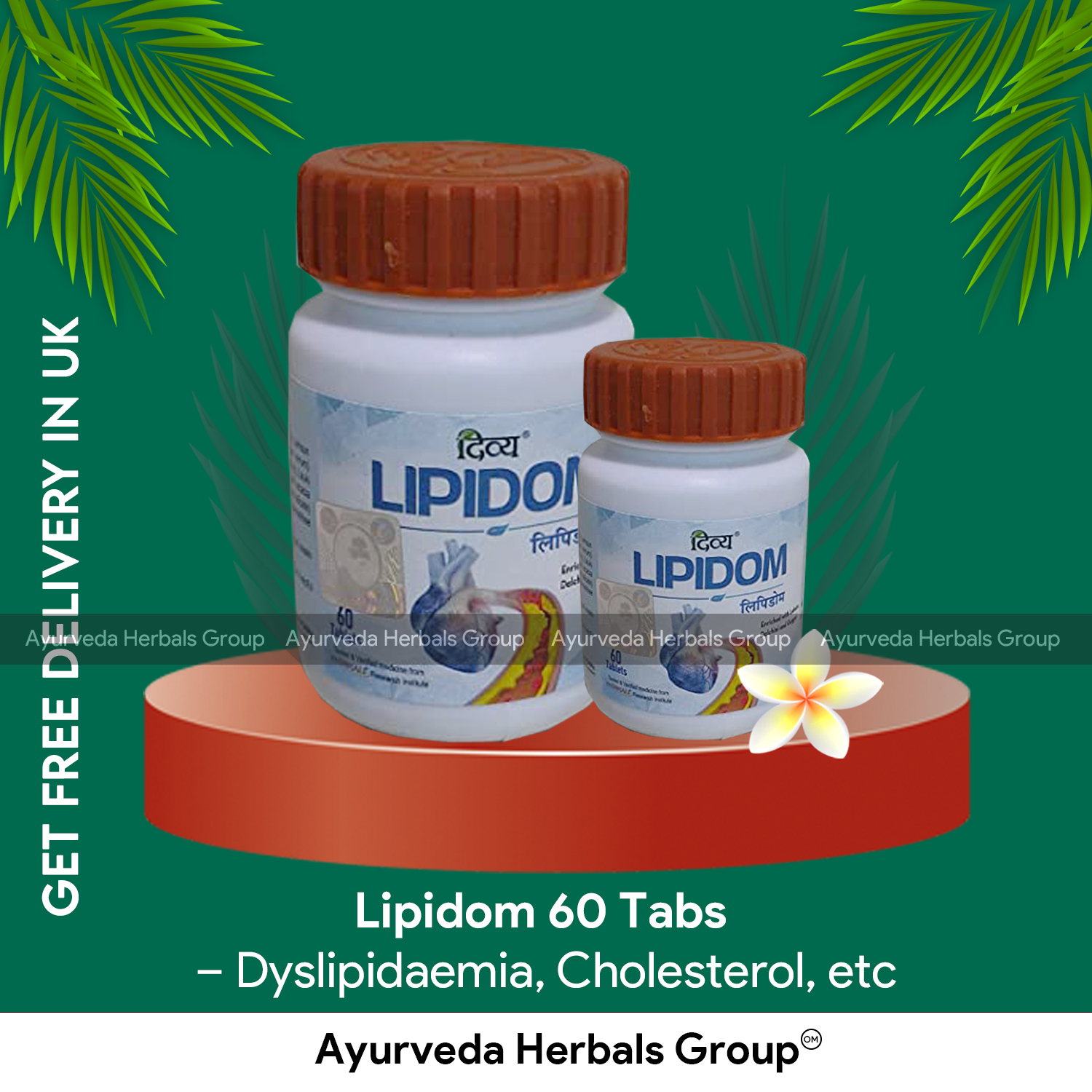 Lipidom 60 Tabs - Dyslipidaemia, Cholesterol, etc |